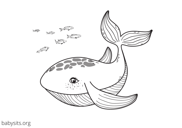 Sea animal coloring pages printable