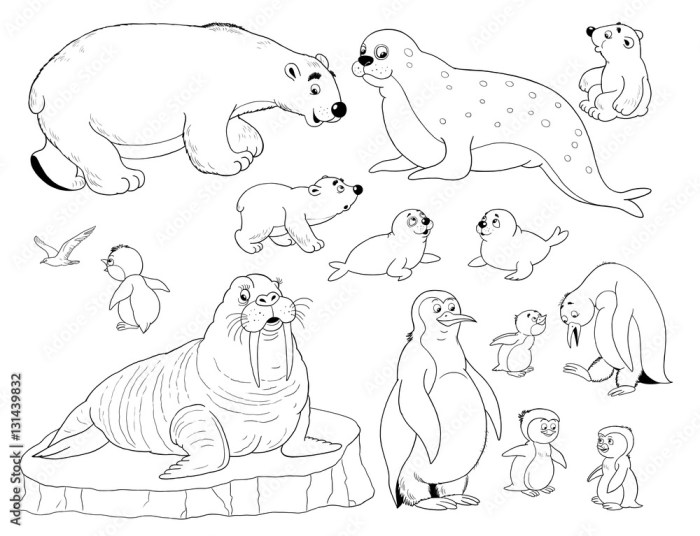 Arctic animals coloring pages free