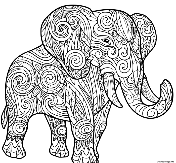 Free animal vector for a coloring book