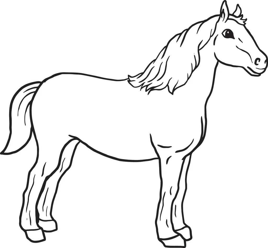 Farm animals coloring pages horse