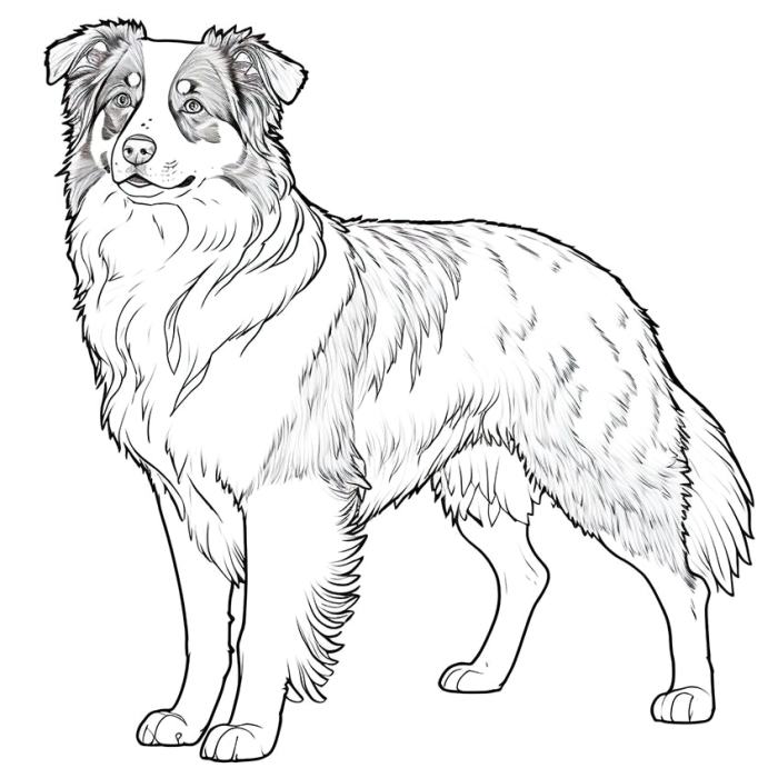 Animal coloring pages dogs