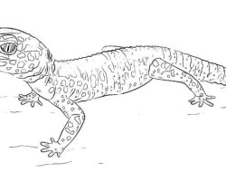 Coloring Pages Cute Animals Gecko Fun for All Ages!