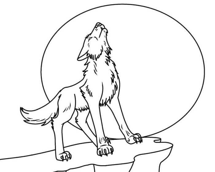 Animal faces coloring pages wolf