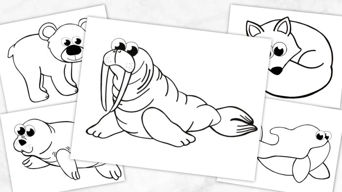 Coloring book about artic animals