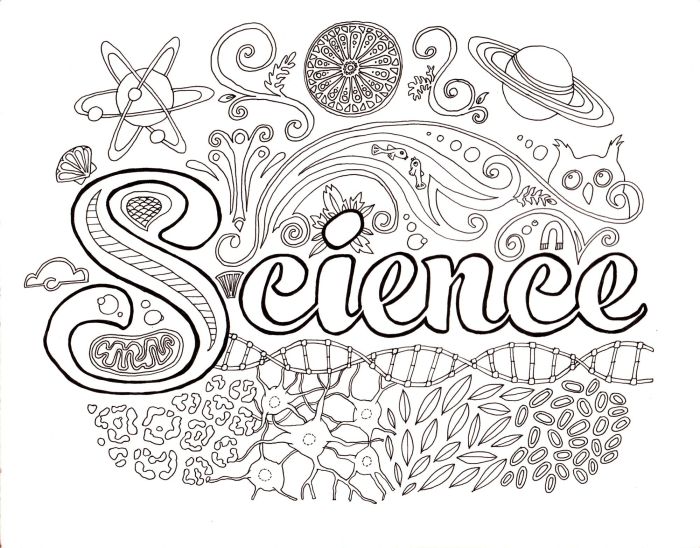 Animal biology coloring page