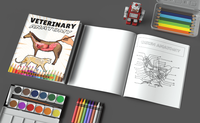 Anatomy coloring book animals by order