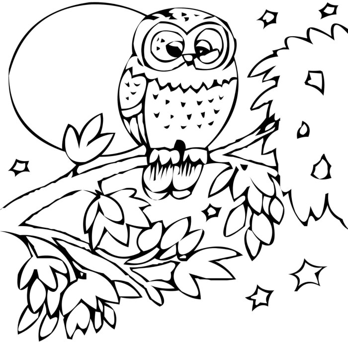 Free printable coloring pages animal