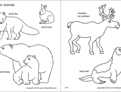 Coloring Book About Arctic Animals