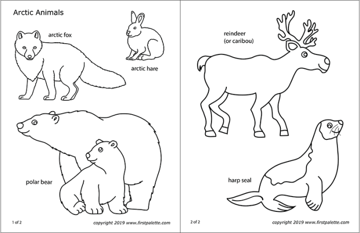 Coloring book about artic animals