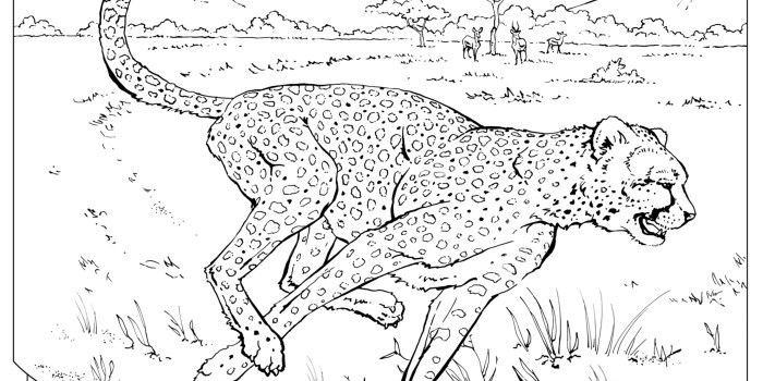 Animal real faces coloring pages