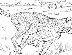 Animal Coloring Sheets for Kids A Wildly Creative Journey