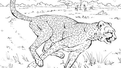 Animal Coloring Sheets for Kids A Wildly Creative Journey