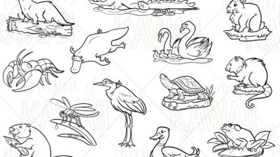 Wetland animals coloring pages