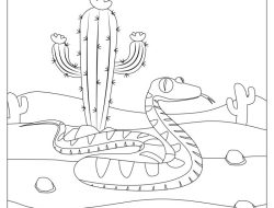 Coloring Pages Desert Animals Fun & Creative