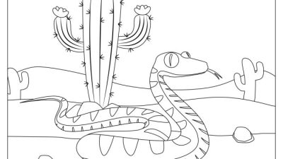 Coloring pages desert animals