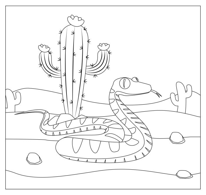 Coloring pages desert animals