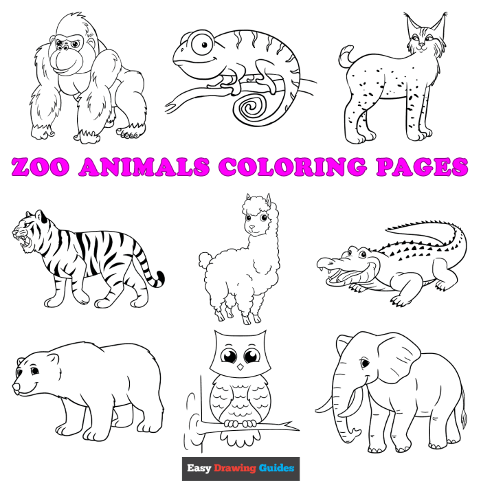 Animal designs coloring pages