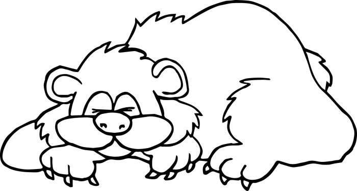 Animals hibernation coloring pages