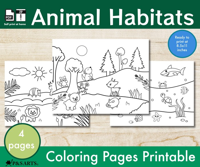 Animal habitat coloring page