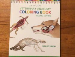 Anatomy Coloring Book Animals by Order