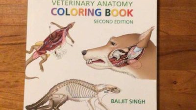 Anatomy Coloring Book Animals by Order