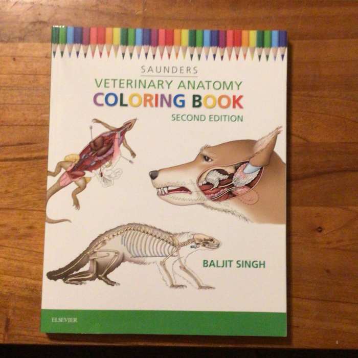 Anatomy coloring book animals by order