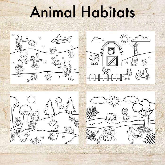 Coloring pages of animals in their habitats