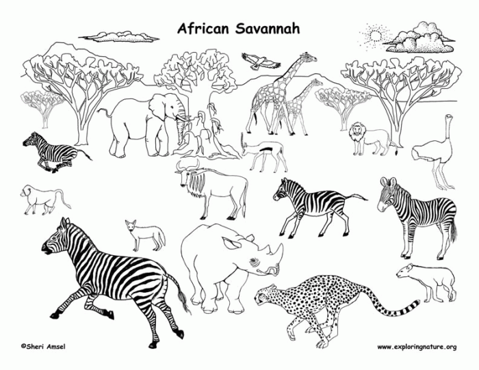 Animals of the savannah coloring shees