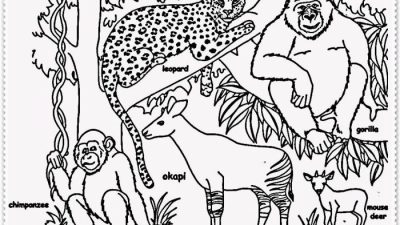 Coloring pictures jungle animals