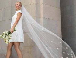 Courthouse Plus Size Wedding Dress Guide